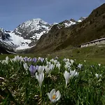 Bed & Breakfast Haus Elisabeth Neustift im Stubaital