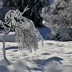 Bed & Breakfast Haus Elisabeth 3*