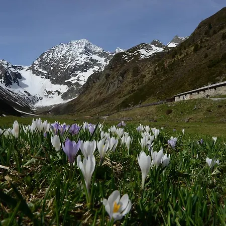 Bed and Breakfast Haus Elisabeth Neustift im Stubaital