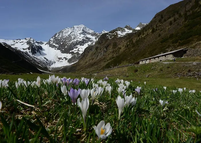 Bed and Breakfast Haus Elisabeth Neustift im Stubaital