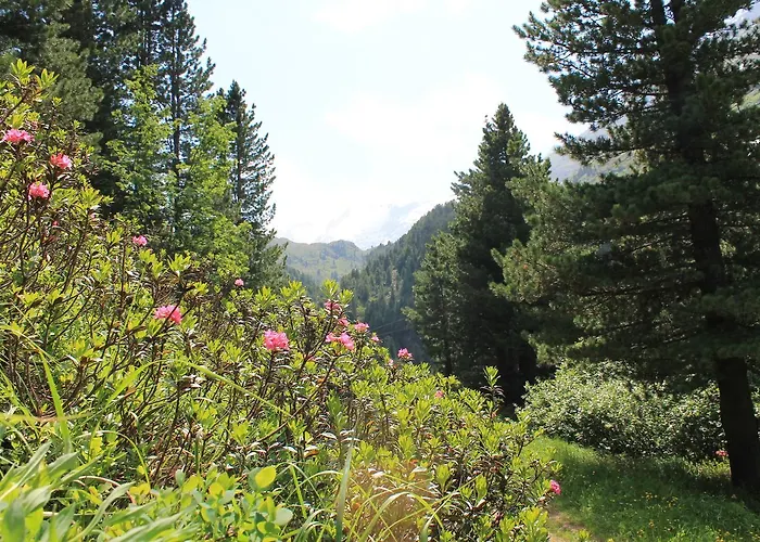 Haus Elisabeth Neustift im Stubaital