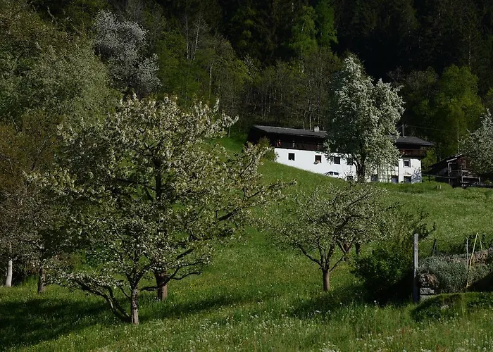 Bed & Breakfast Haus Elisabeth Neustift im Stubaital