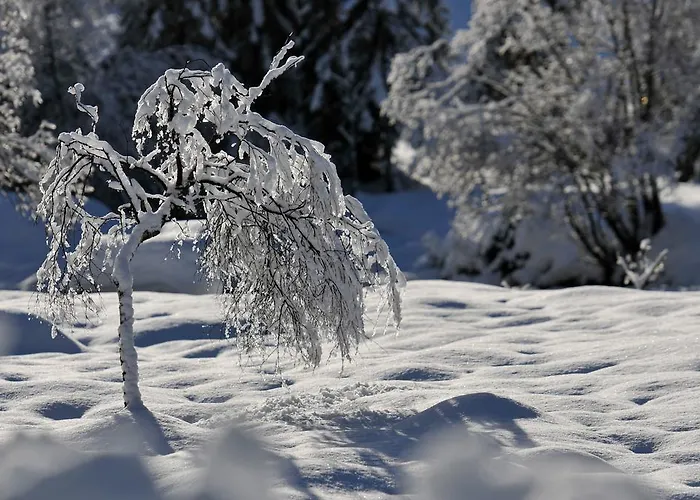 Bed & Breakfast Haus Elisabeth 3*