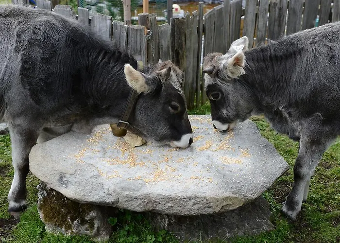 Bed & Breakfast Haus Elisabeth 3*