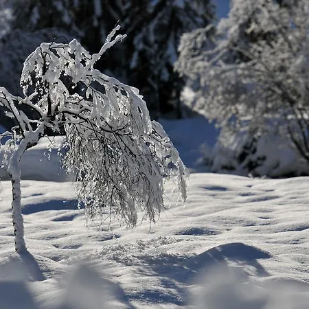 Oda ve Kahvaltı Haus Elisabeth 3*